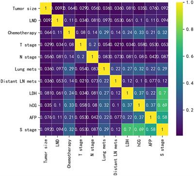 A Machine Learning Algorithm for Predicting the Risk of Developing to M1b Stage of Patients With Germ Cell Testicular Cancer